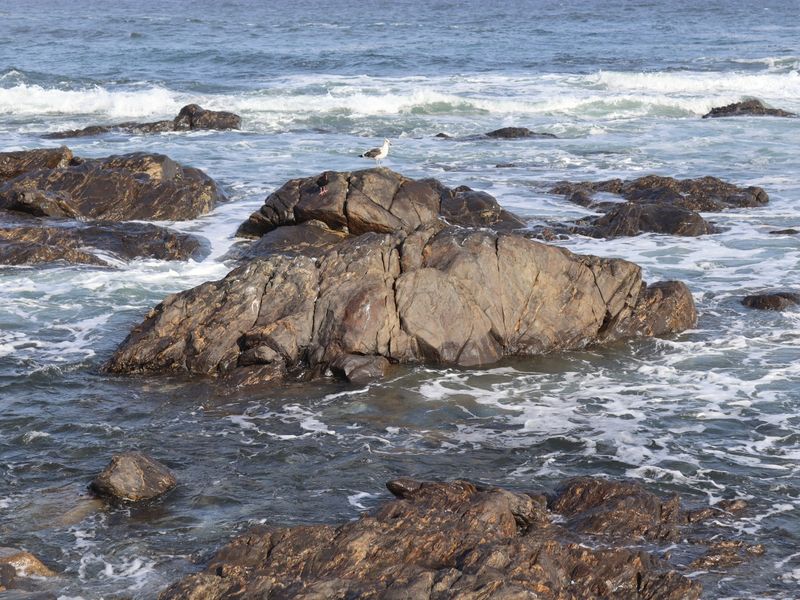 A scenic view of rocky coastal terrain with ocean waves crashing against the shore.