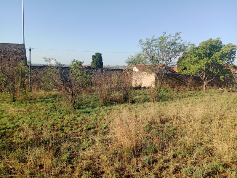 A vacant residential plot featuring natural grass, mature trees, and existing stone and concrete block boundary walls.