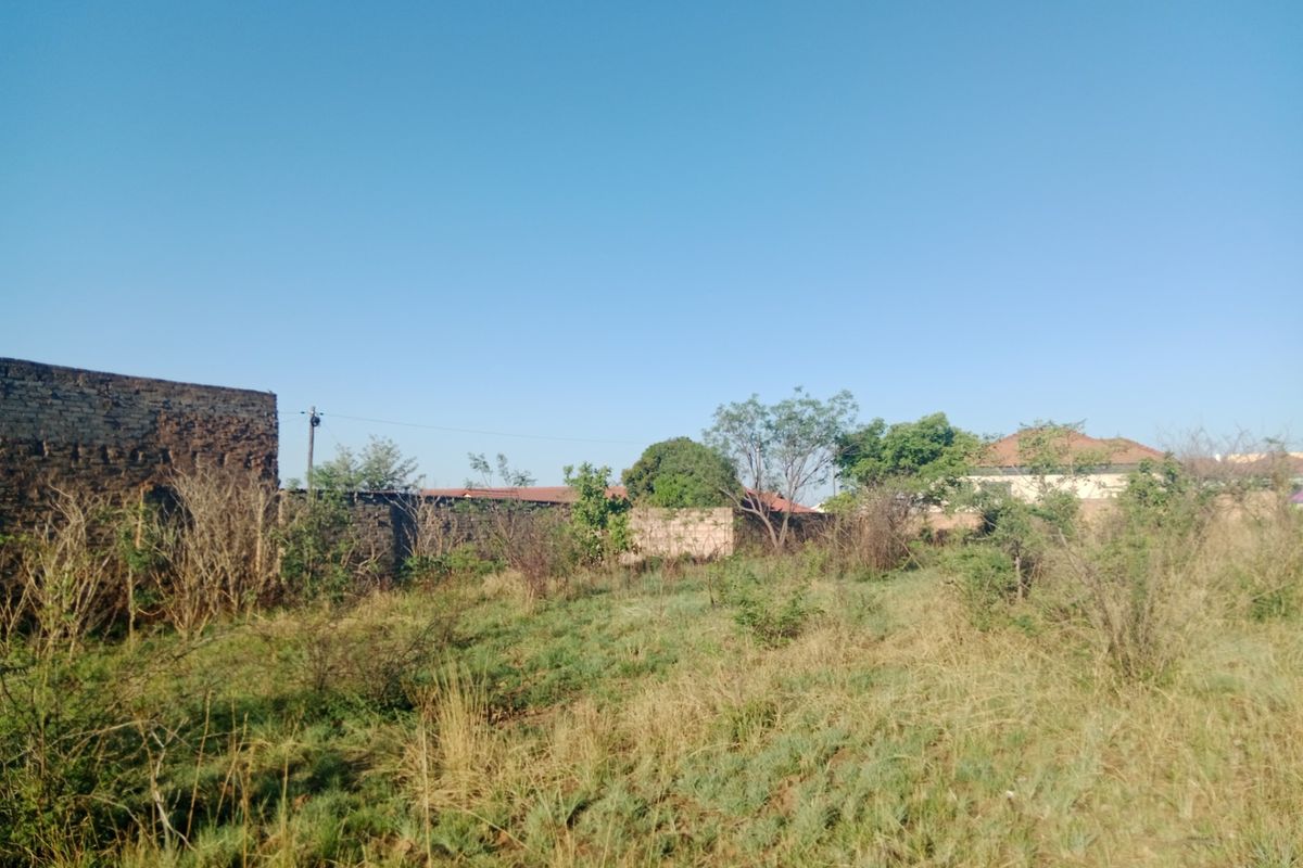 A vacant residential plot featuring natural vegetation and a perimeter brick boundary wall showing signs of weathering.