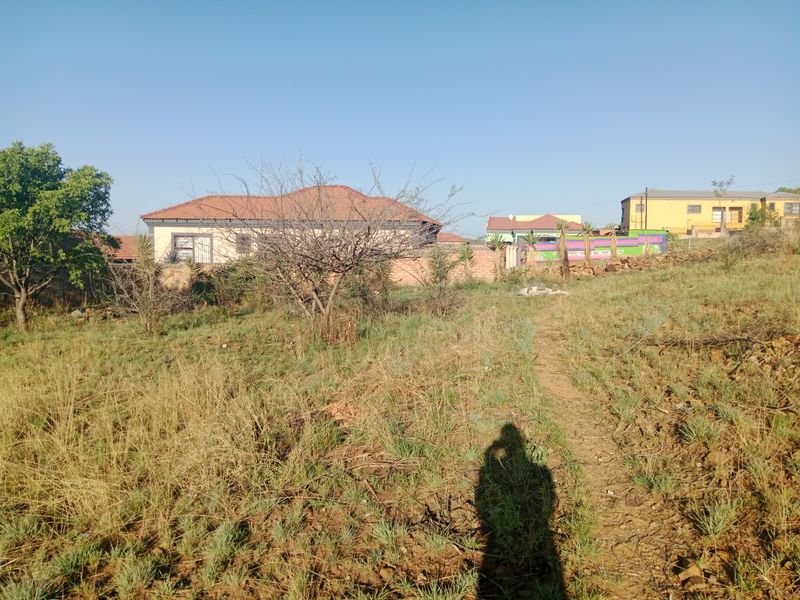 A view of an undeveloped residential plot featuring natural vegetation and surrounding boundary walls in a suburban neighborhood.