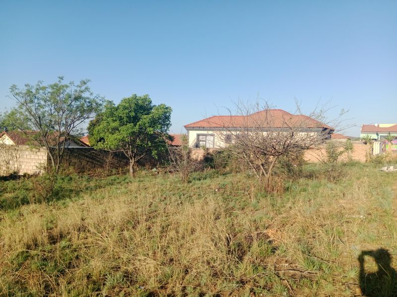 A vacant residential plot featuring established trees and a perimeter boundary wall, offering a clear space for future development.