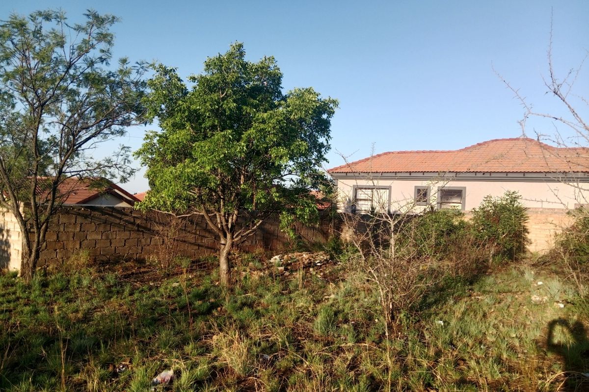 A view of a residential plot featuring a boundary wall, mature trees, and overgrown vegetation, showing the current state of the land.