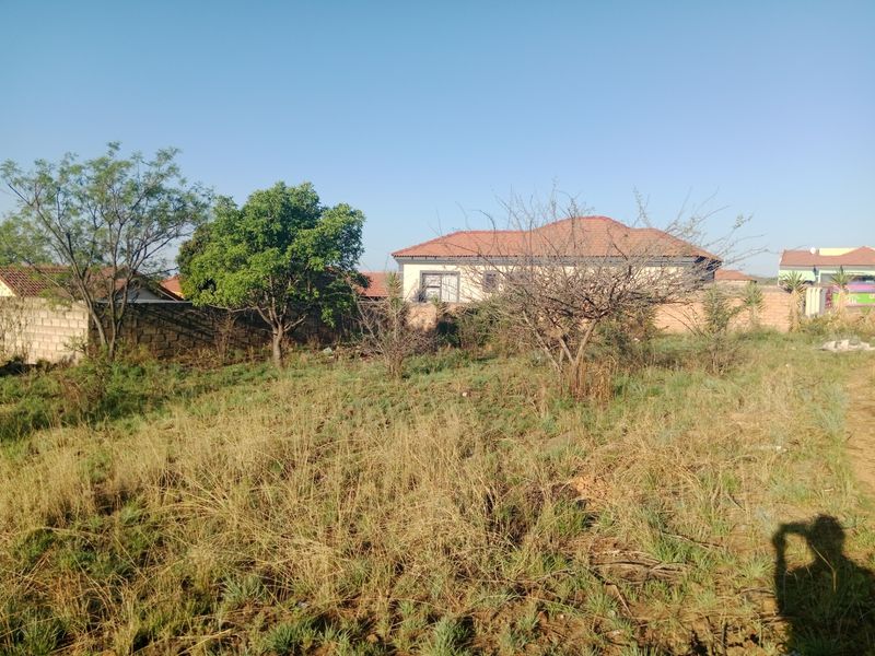 A vacant residential plot featuring established perimeter walling and mature trees, offering a clear space for future development.