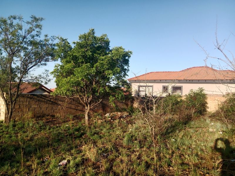 A view of a vacant residential plot featuring a perimeter boundary wall, mature trees, and overgrown natural vegetation.