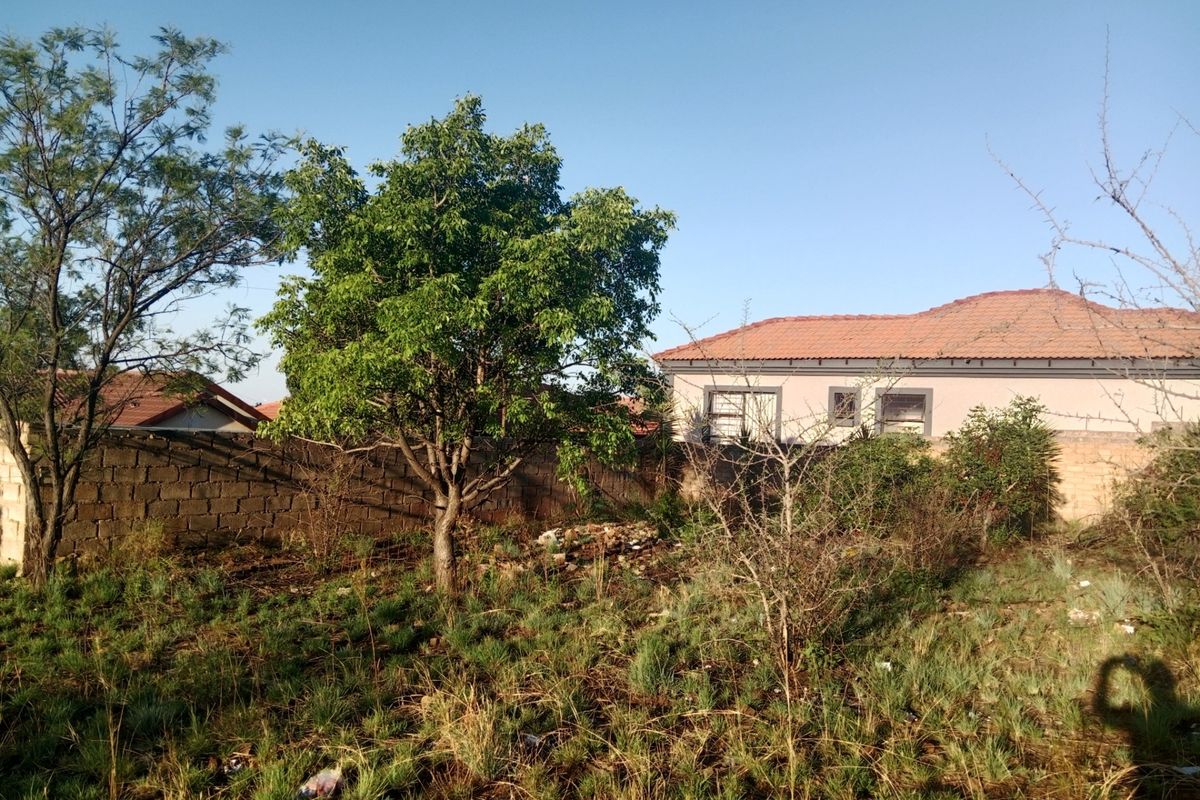 A view of a vacant residential plot featuring a perimeter boundary wall, mature trees, and overgrown natural vegetation.
