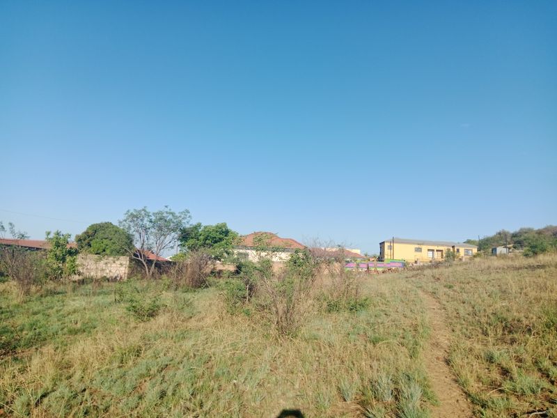A view of a vacant residential plot featuring natural vegetation and surrounding boundary walls, offering potential for future development.