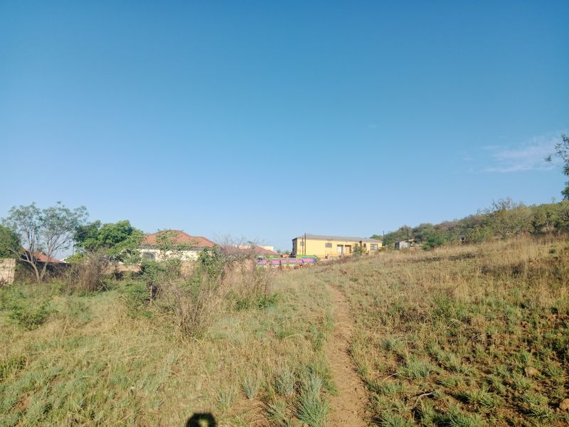 A view of a vacant residential plot featuring natural vegetation and a dirt path, with neighboring houses visible in the background.