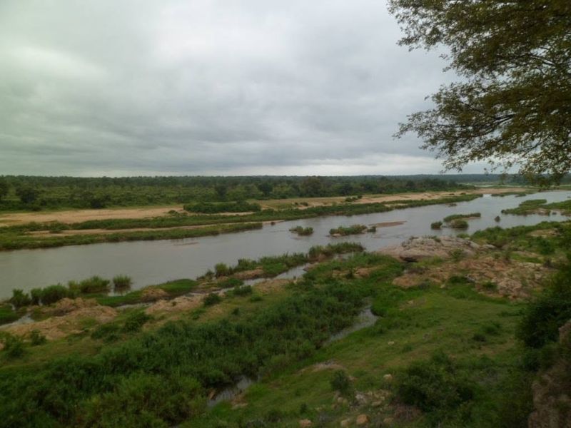 A scenic view of a natural river flowing through a landscape with lush vegetation and rocky outcrops.