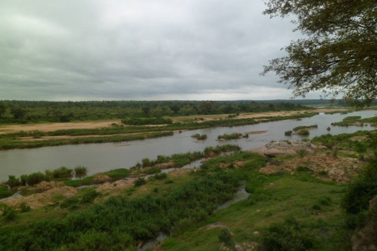 A scenic view of a natural river flowing through a landscape with lush vegetation and rocky outcrops.