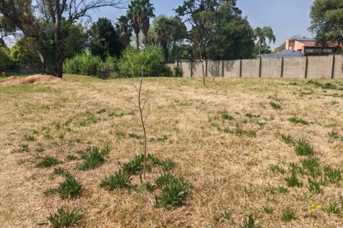 A vacant residential plot featuring dry grass, established trees, and a perimeter boundary wall.