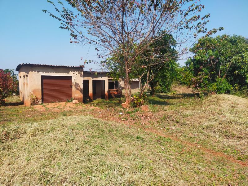 A view of a residential property featuring a basic concrete structure with a roller shutter garage door, set on a large, overgrown plot.