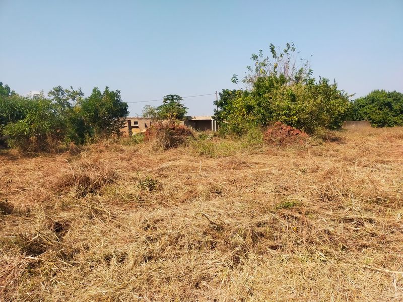 A view of a vacant residential plot featuring dry grass, mature trees, and a partial boundary wall in the background.