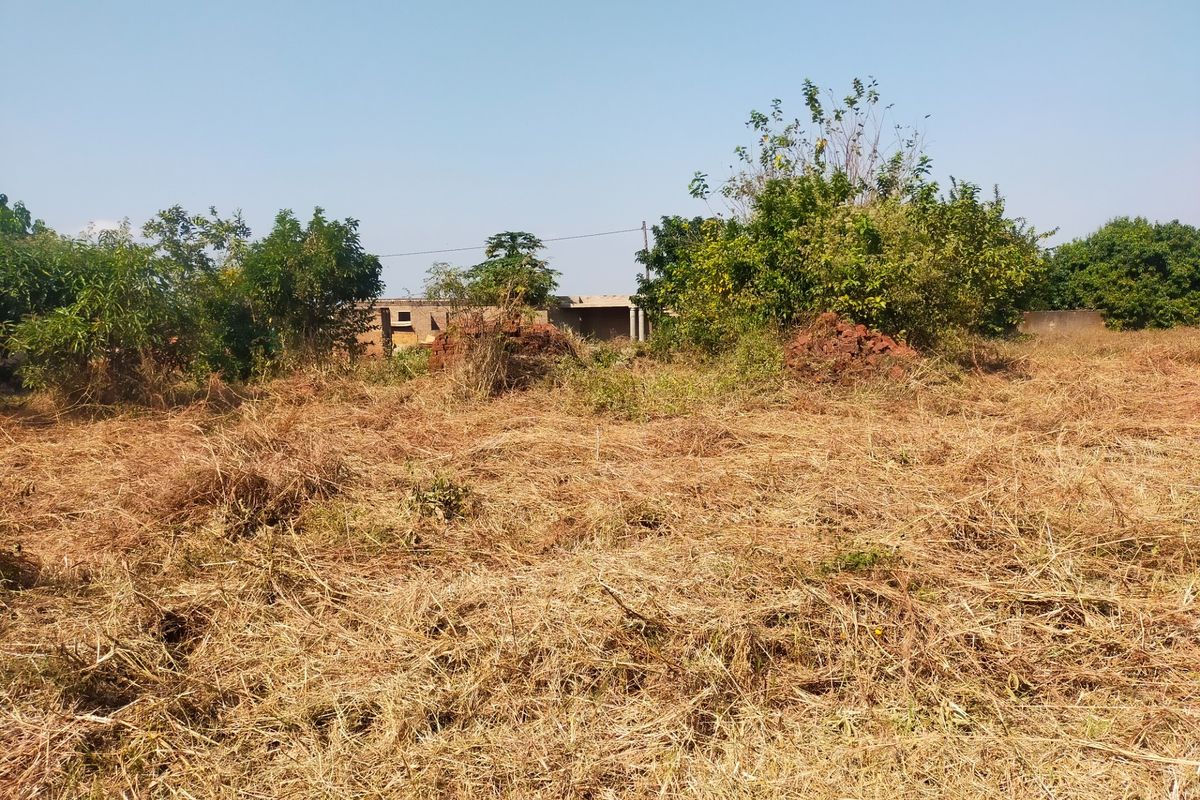 A view of a vacant residential plot featuring dry grass, mature trees, and a partial boundary wall in the background.