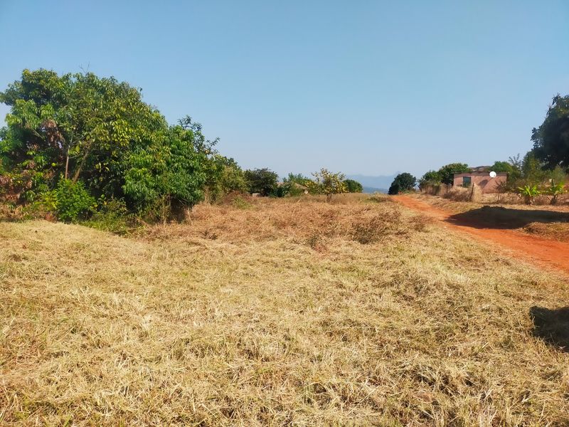 A view of a vacant residential plot featuring dry grass, mature trees, and an adjacent dirt road access path.