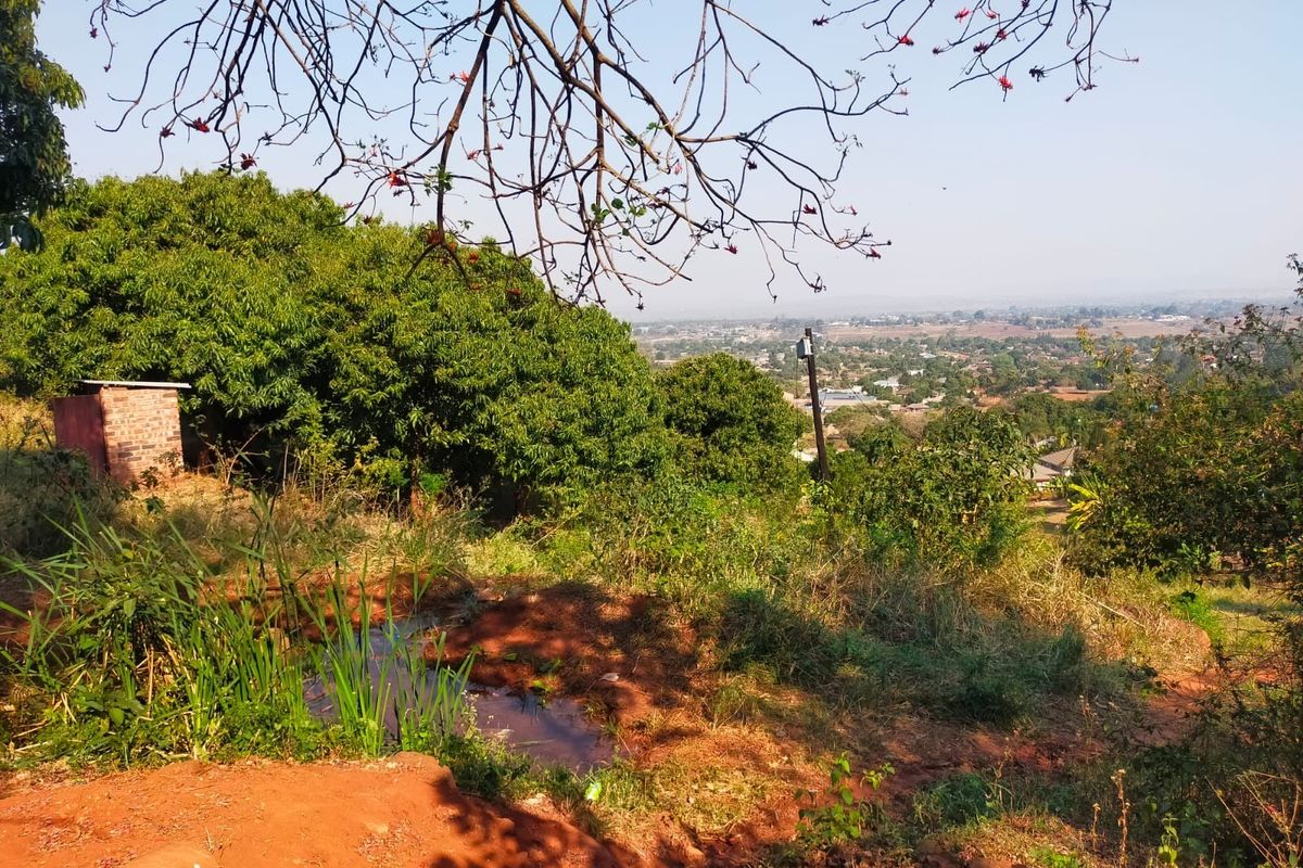 A scenic elevated view overlooking the surrounding landscape and residential area, featuring natural vegetation and a small brick structure.