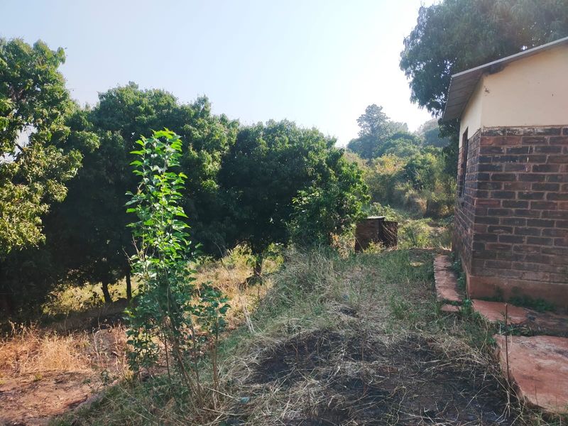 Rear exterior view of the property featuring exposed brick wall construction and surrounding natural garden area.