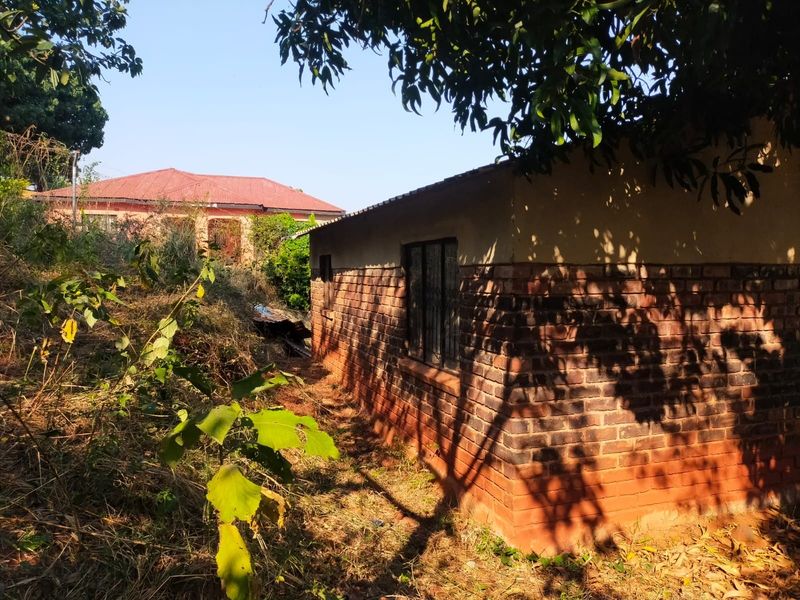 Rear view of a brick outbuilding structure surrounded by overgrown vegetation, showing basic construction and weathered exterior finishes.