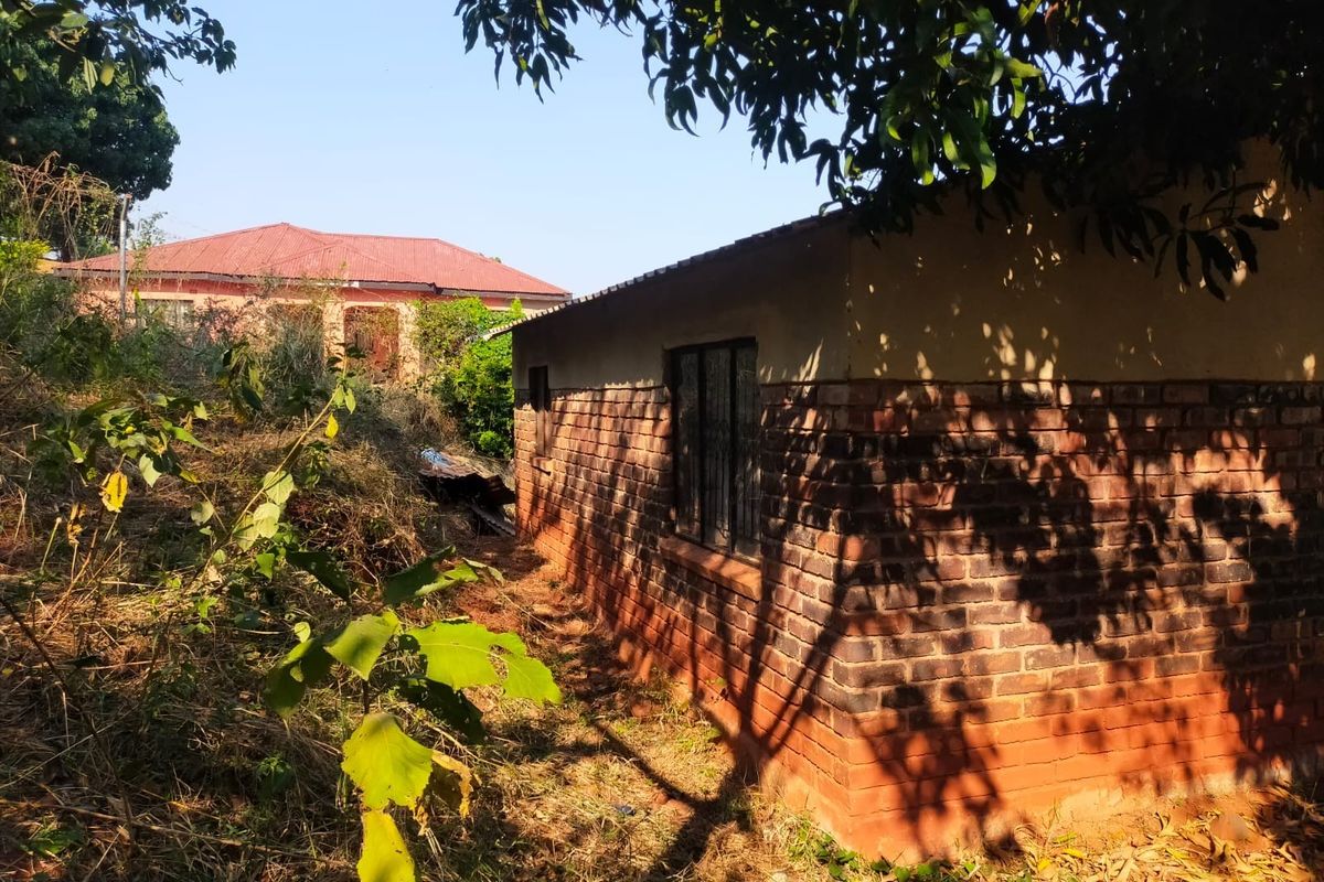 Rear view of a brick outbuilding structure surrounded by overgrown vegetation, showing basic construction and weathered exterior finishes.