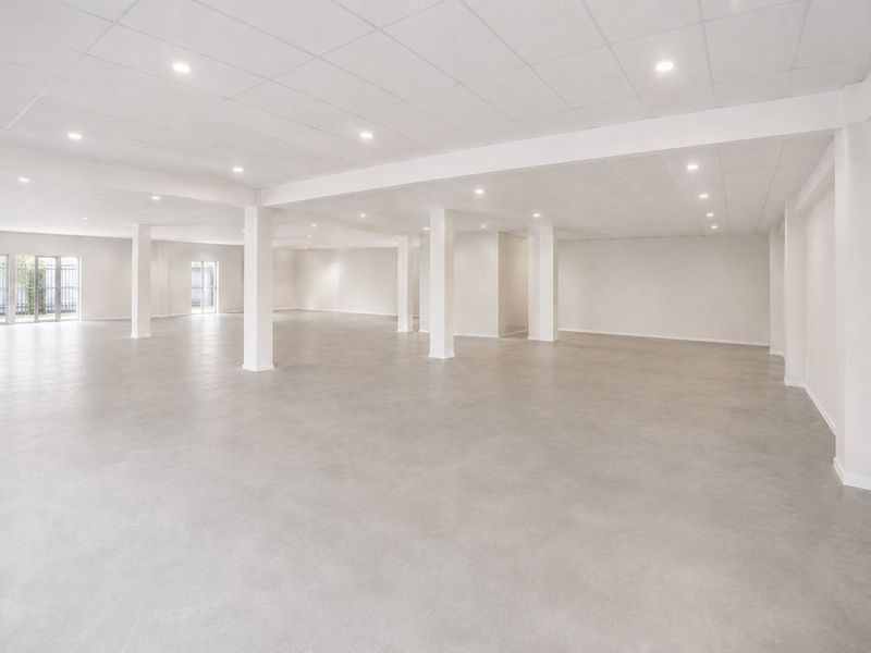 A spacious, open-plan commercial interior featuring polished concrete floors, a clean suspended ceiling with recessed lighting, and structural support columns.