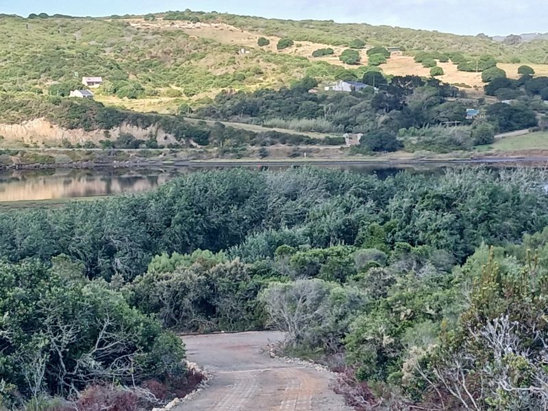 A scenic view of the natural landscape, featuring lush vegetation and a tranquil water body in the distance.