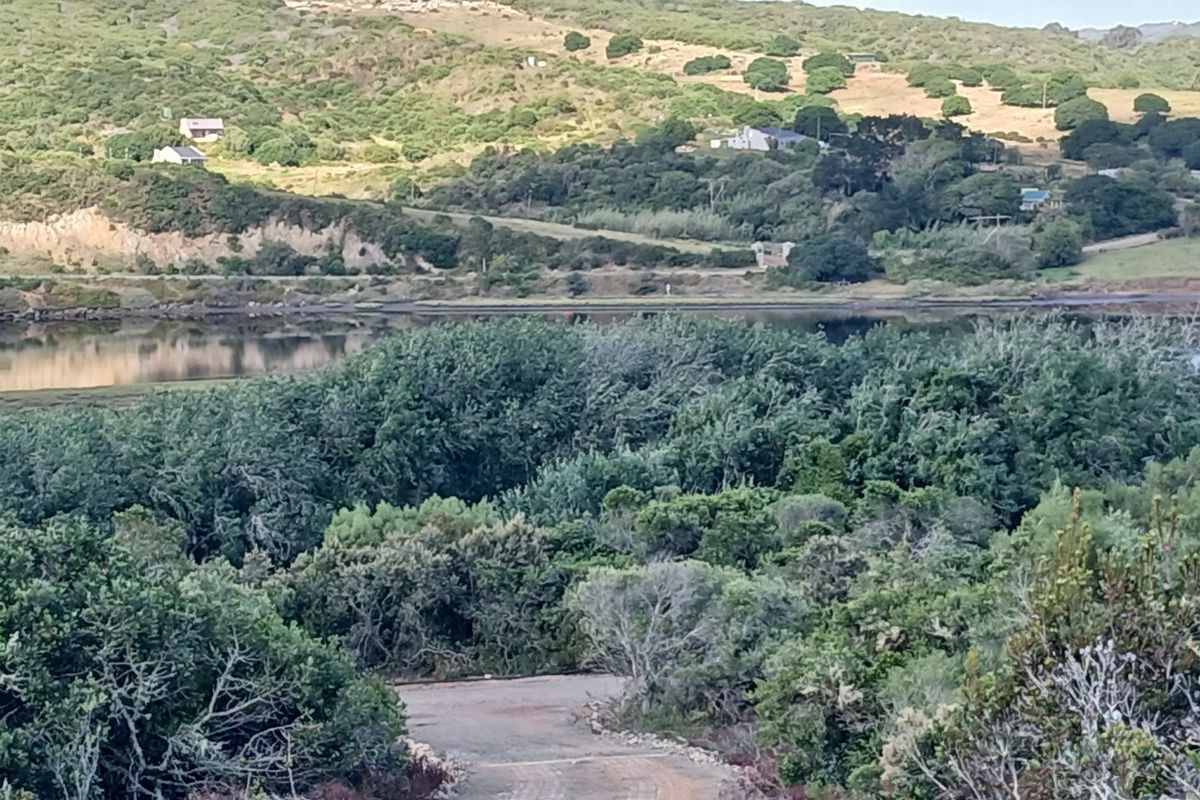 A scenic view of the natural landscape, featuring lush vegetation and a tranquil water body in the distance.