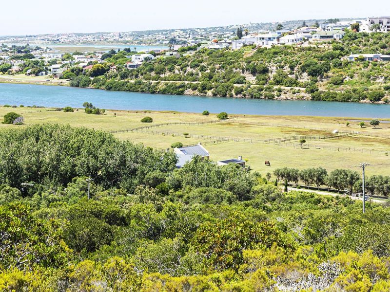 A scenic elevated view overlooking a river, open pasture land, and surrounding residential development.