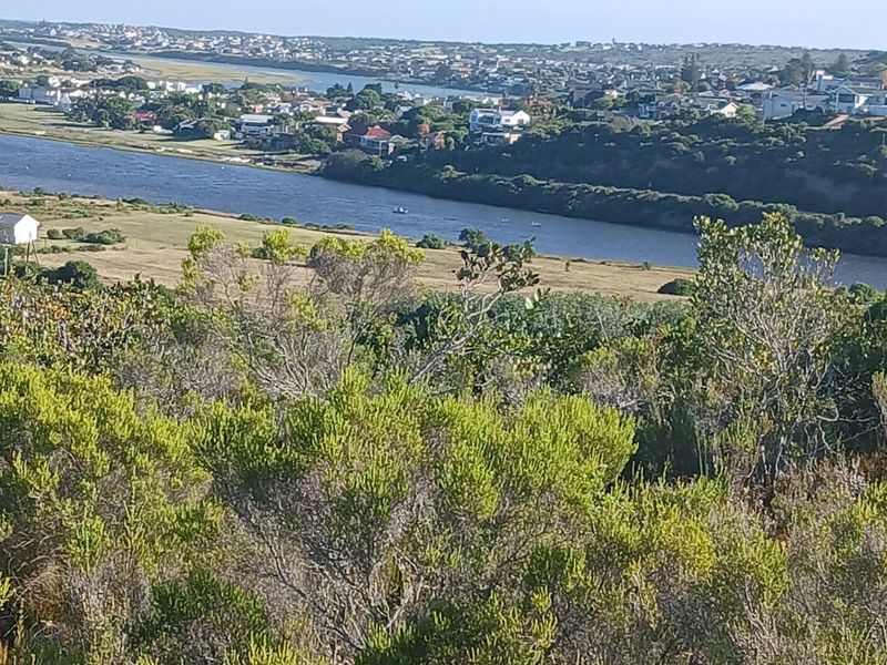Elevated view overlooking a river and surrounding coastal residential landscape, showcasing the natural setting of the vacant land.