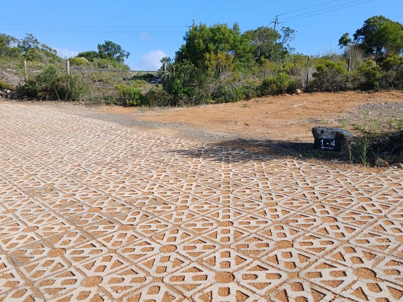 A view of the vacant residential land featuring a permeable paved driveway entrance, metal gate, and natural vegetation.