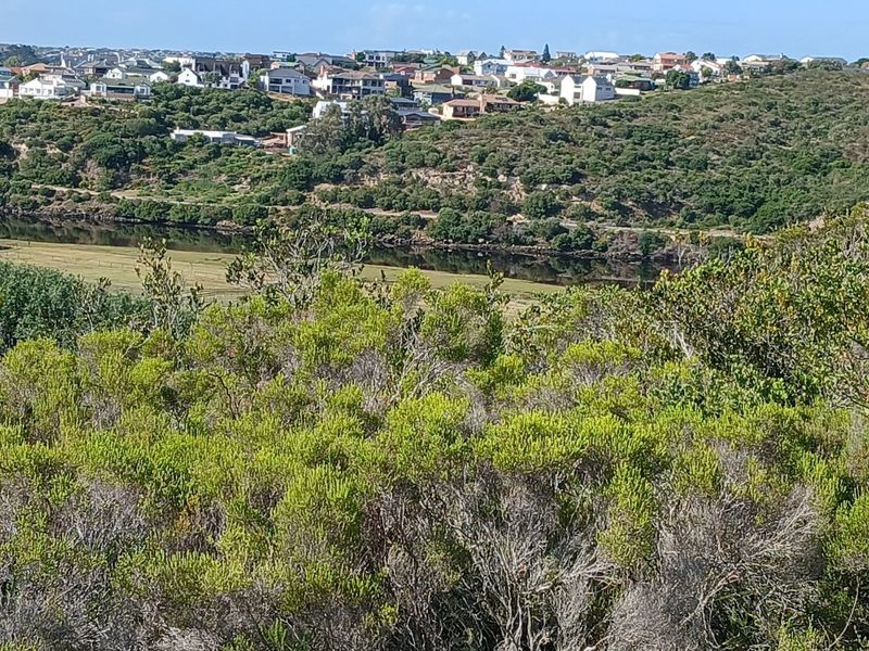 A scenic elevated view overlooking a river, natural coastal vegetation, and a residential neighborhood in the distance.
