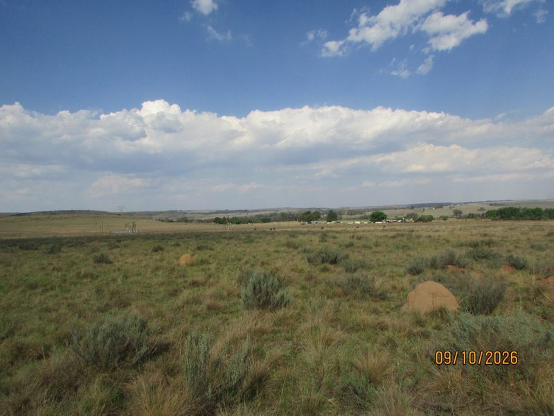 A wide-angle view of the expansive open veld landscape on the farm property under a clear blue sky.