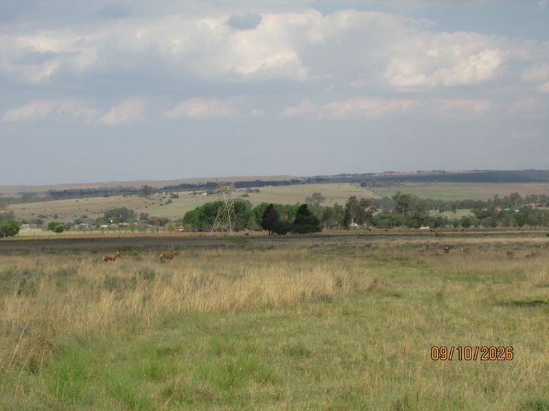A wide-angle view of the expansive farm landscape featuring open grasslands and distant rolling hills.