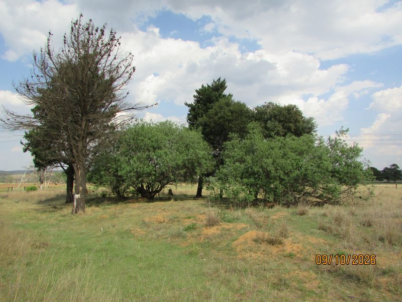 A view of the open grassland and mature trees on the farm property.