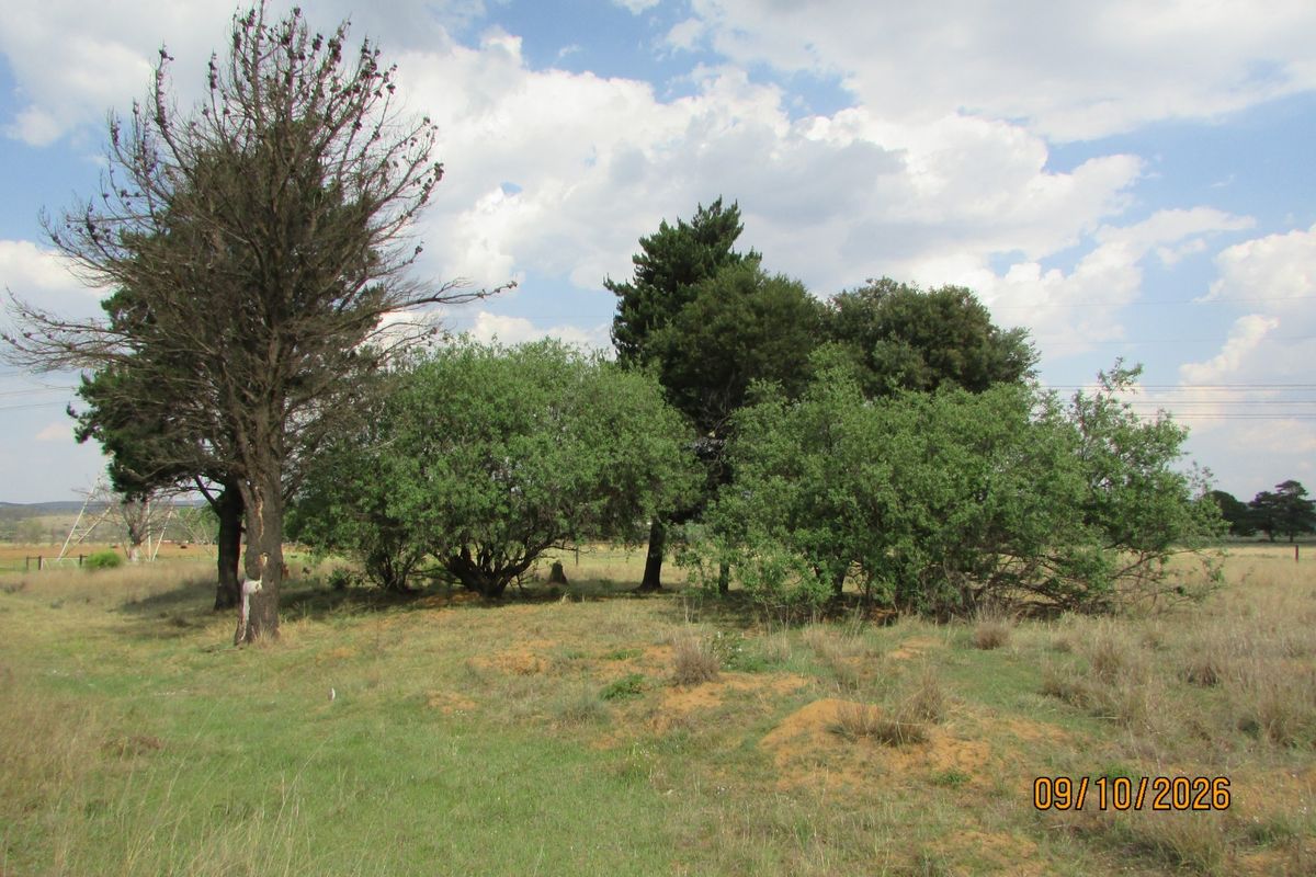 A view of the open grassland and mature trees on the farm property.