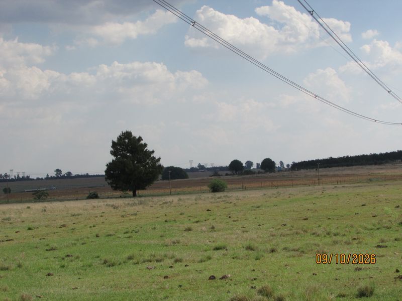 A wide-angle view of the open farm landscape featuring expansive grassy fields, scattered trees, and visible overhead power lines.