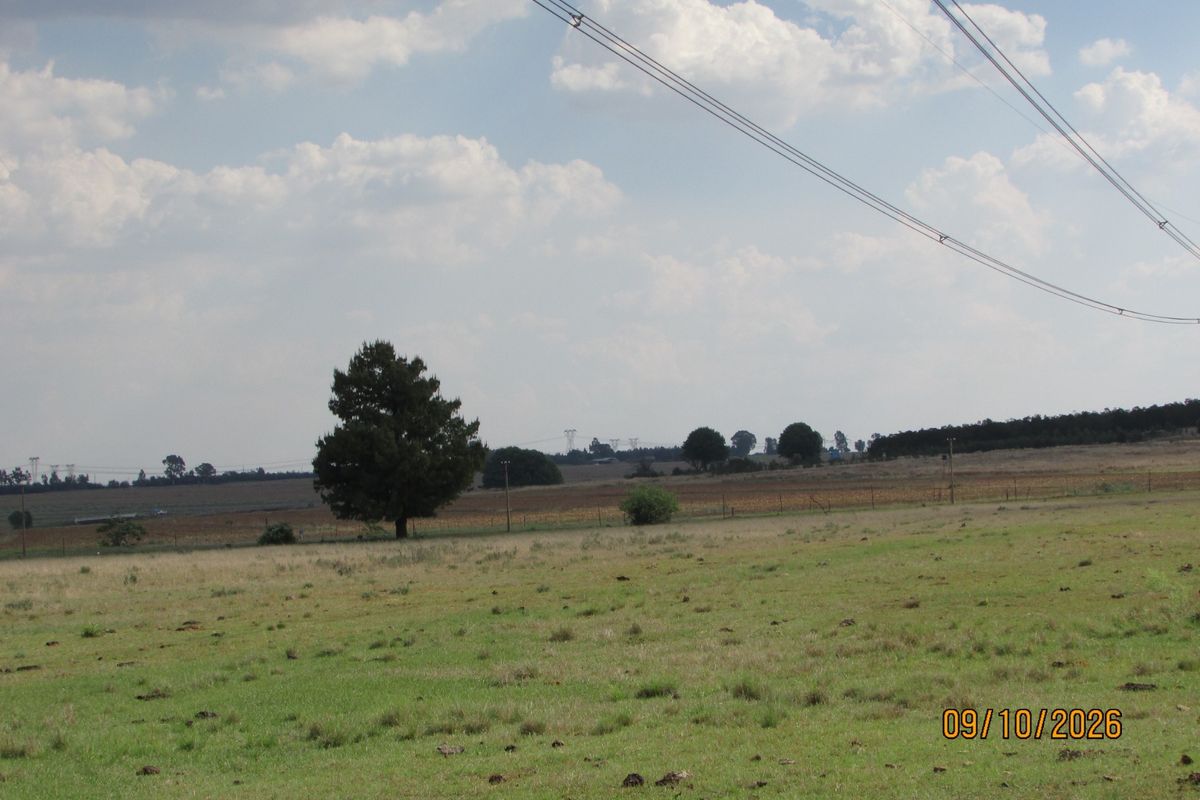 A wide-angle view of the open farm landscape featuring expansive grassy fields, scattered trees, and visible overhead power lines.