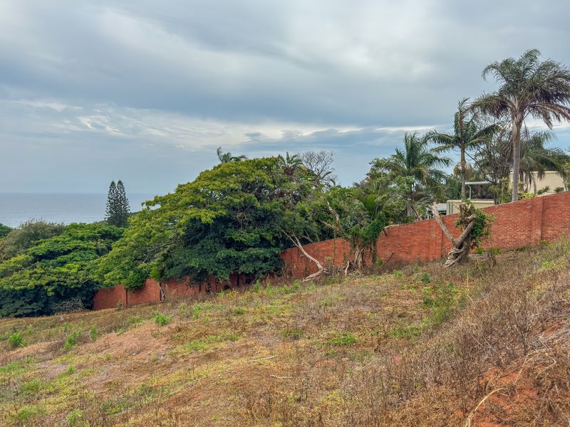 A sloped residential plot featuring a brick boundary wall, mature trees, and distant ocean views.