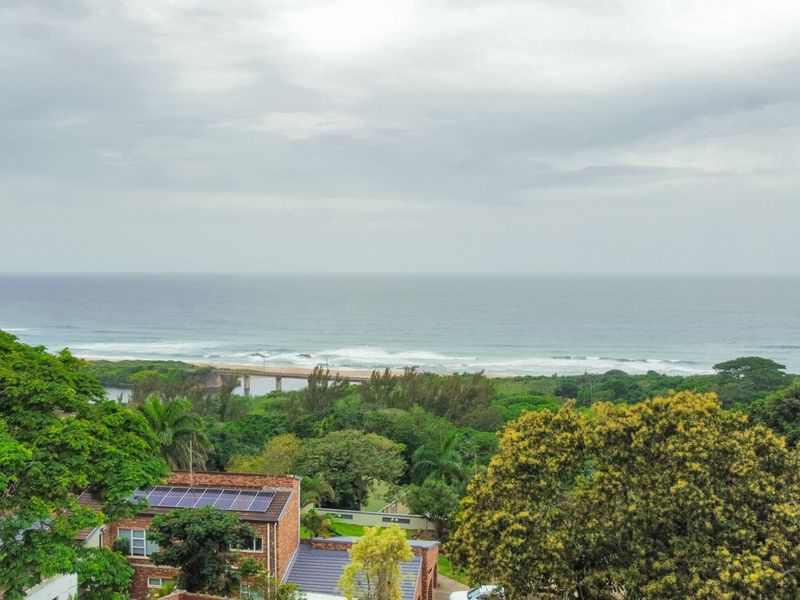 Elevated coastal view overlooking lush greenery, a bridge, and the ocean, featuring residential properties with solar panel installations.