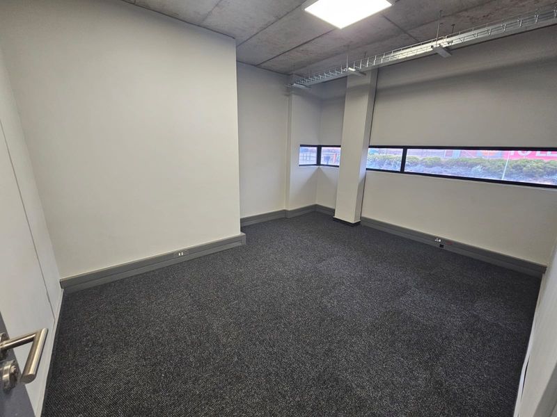 A clean, empty office space featuring modern carpet flooring, exposed concrete ceilings with cable management, and horizontal strip windows providing natural light.