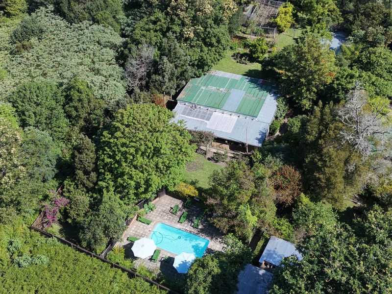 Aerial view of the property featuring a swimming pool with a paved deck, surrounded by mature trees and a large garden area.
