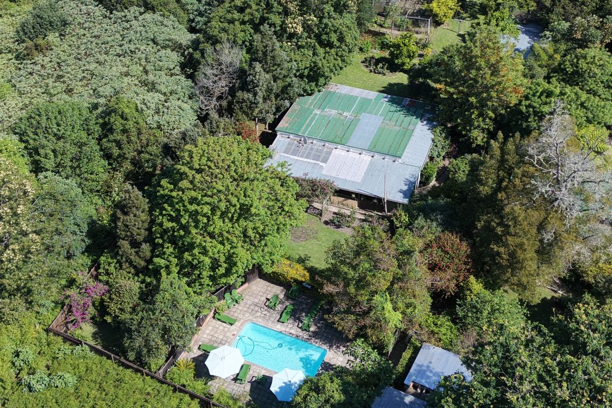 Aerial view of the property featuring a swimming pool with a paved deck, surrounded by mature trees and a large garden area.