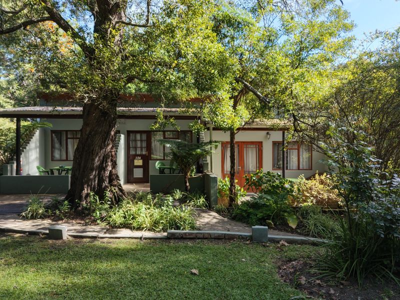A view of the rear exterior of the house featuring a covered patio, mature trees, and a landscaped garden area.