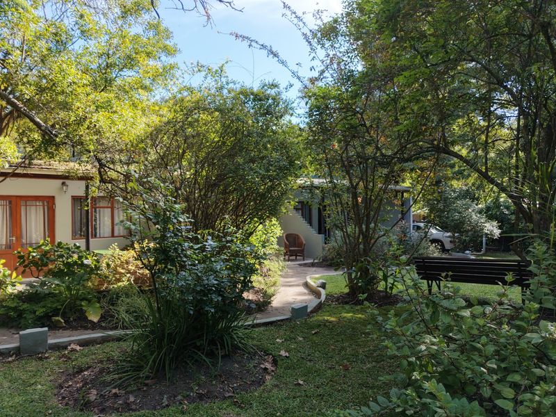 A lush, well-established garden featuring mature trees, a paved pathway, and concrete edging leading towards the rear of the property.