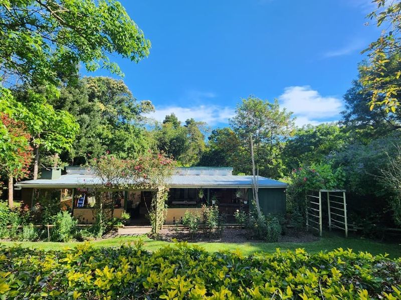 A rear view of the property featuring a covered patio area, corrugated metal roofing, and a lush, established garden setting.