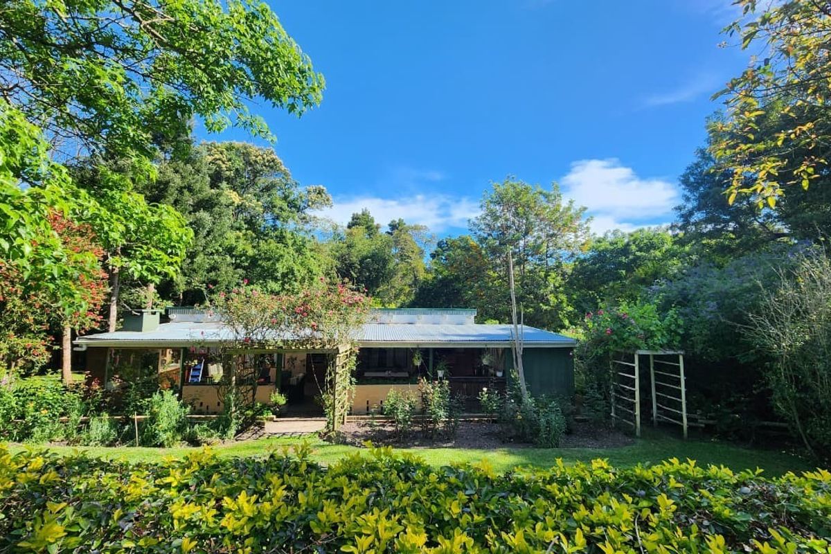 A rear view of the property featuring a covered patio area, corrugated metal roofing, and a lush, established garden setting.