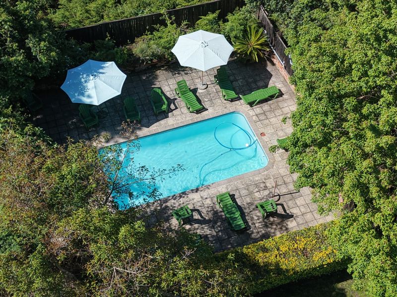 Aerial view of a private swimming pool set within a paved courtyard, surrounded by mature trees and established garden landscaping.