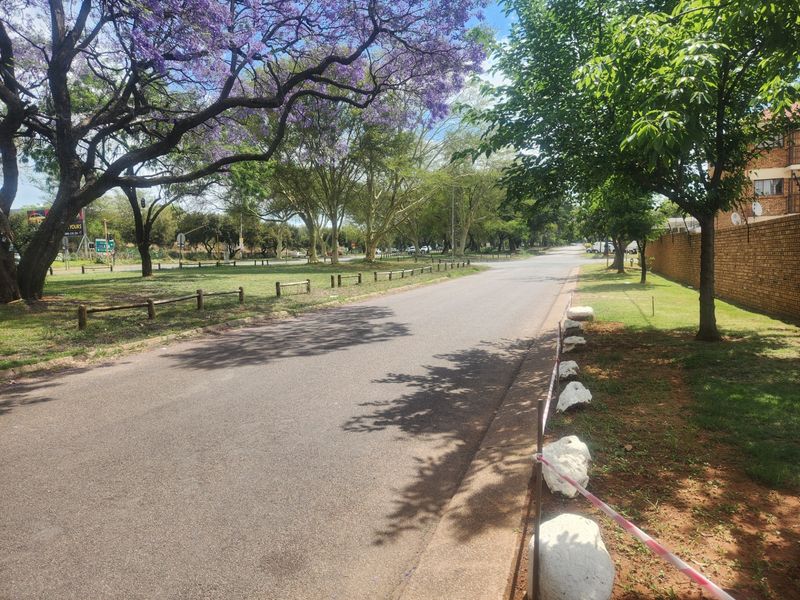 A view of the residential street approach featuring mature trees, an asphalt road, and a brick boundary wall.