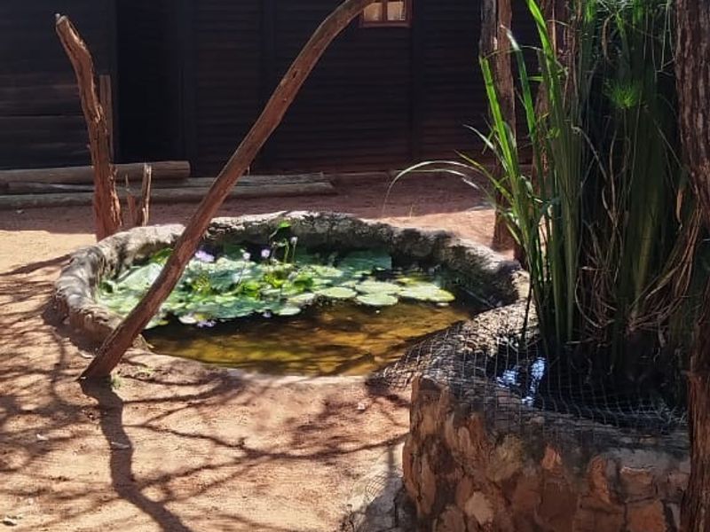 A rustic garden setting featuring a natural stone-lined pond and a raised stone planter, set against a timber-clad structure.