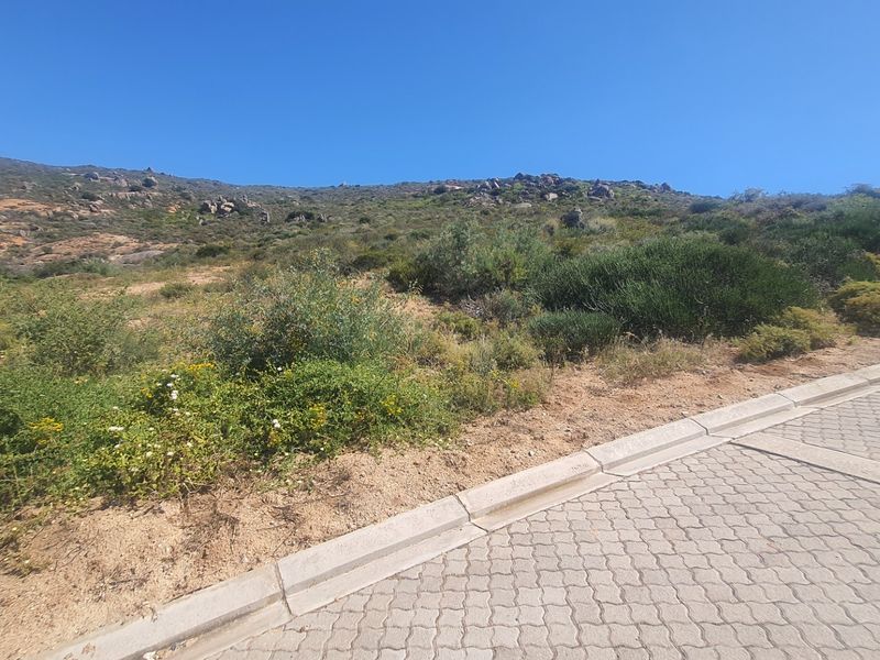 A view of a sloped residential vacant land plot featuring established natural vegetation and adjacent paved street infrastructure.