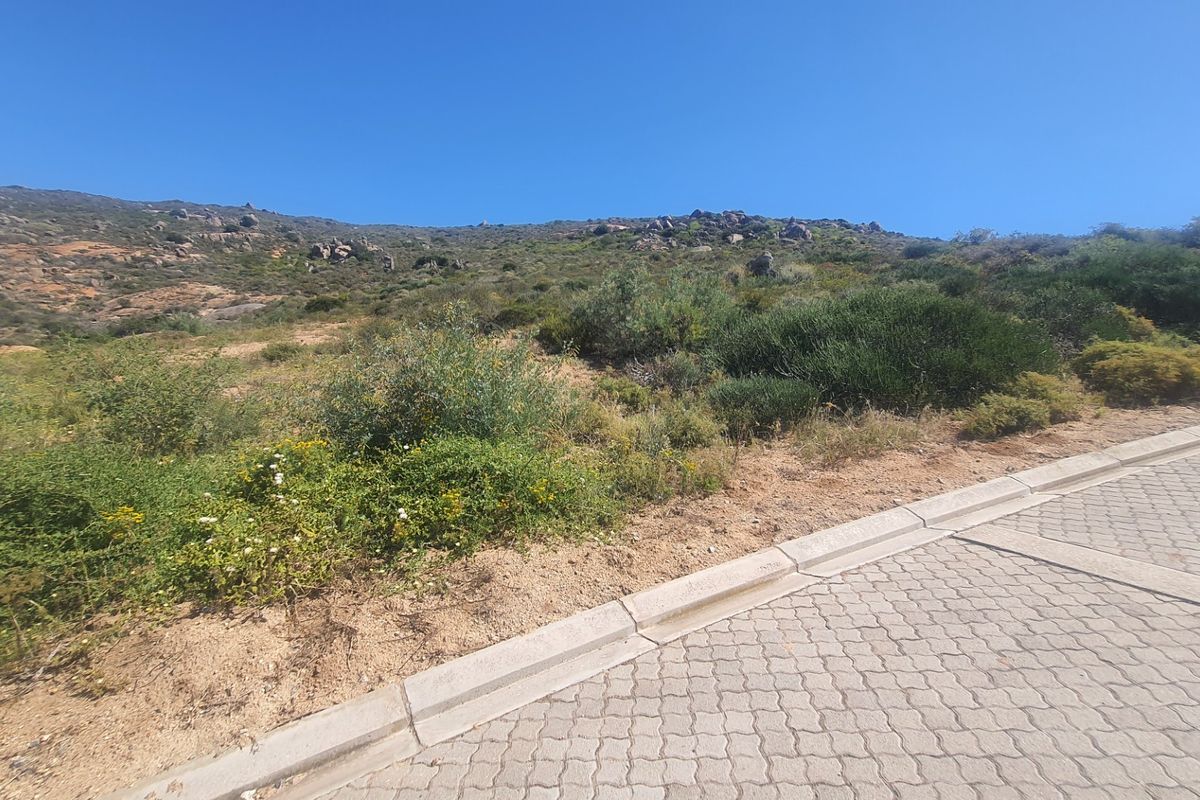 A view of a sloped residential vacant land plot featuring established natural vegetation and adjacent paved street infrastructure.