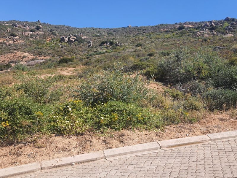 A view of a sloped, undeveloped residential plot featuring natural vegetation and adjacent paved road access.